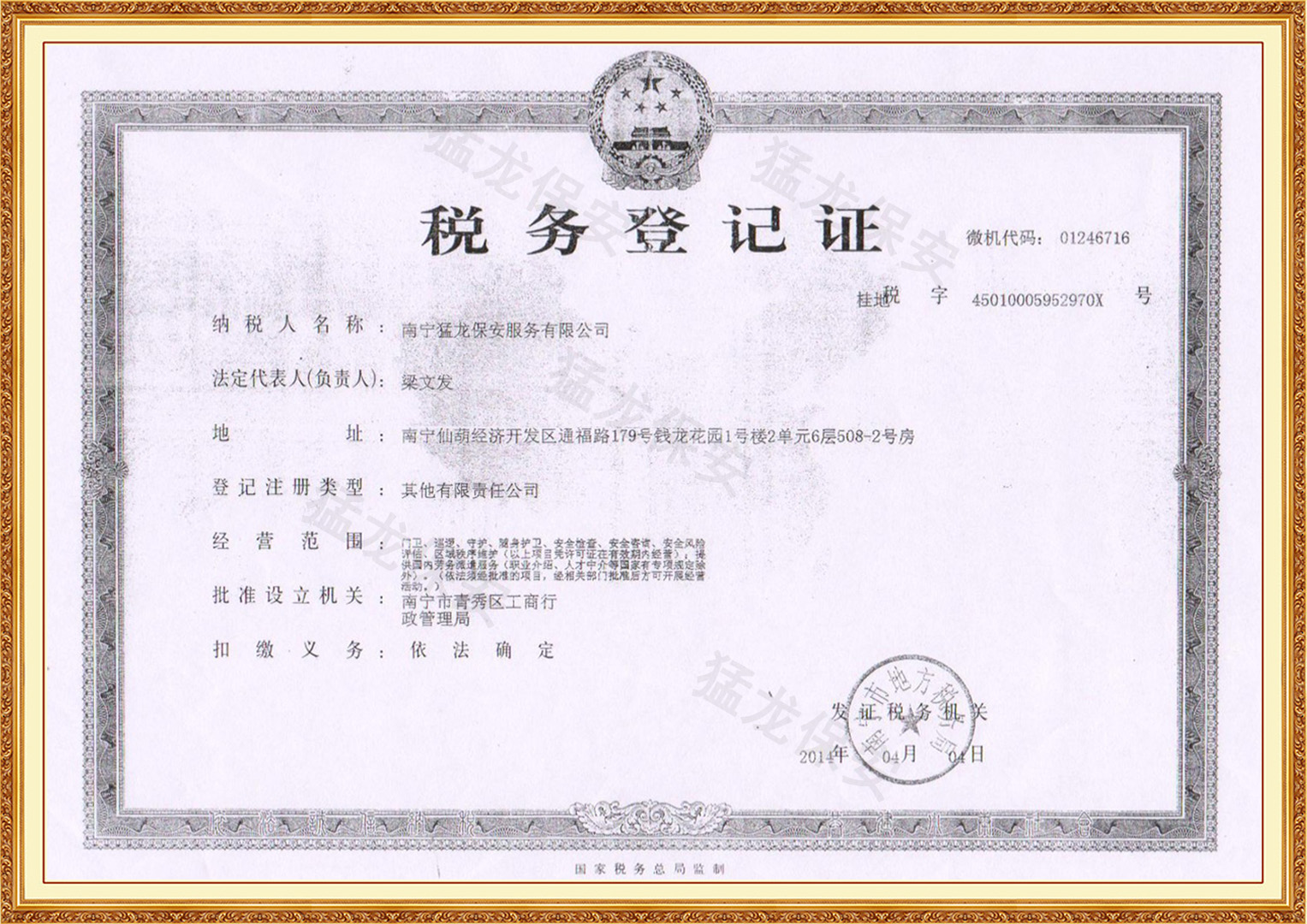 南宁91视频免费下载