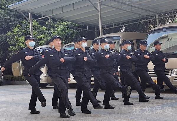 免费91视频下载