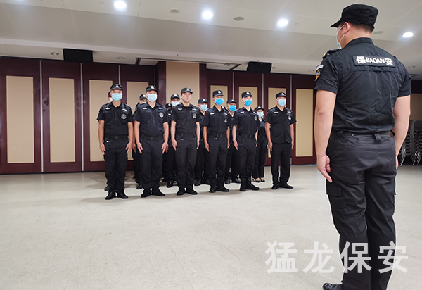 免费91视频下载